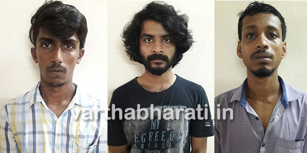 ಗಾಂಜಾ ಮಾರಾಟ: ಮೂವರ ಸೆರೆ
