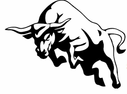 ಗೂಳಿ ತಿವಿದು ವ್ಯಕ್ತಿಗೆ ಗಾಯ