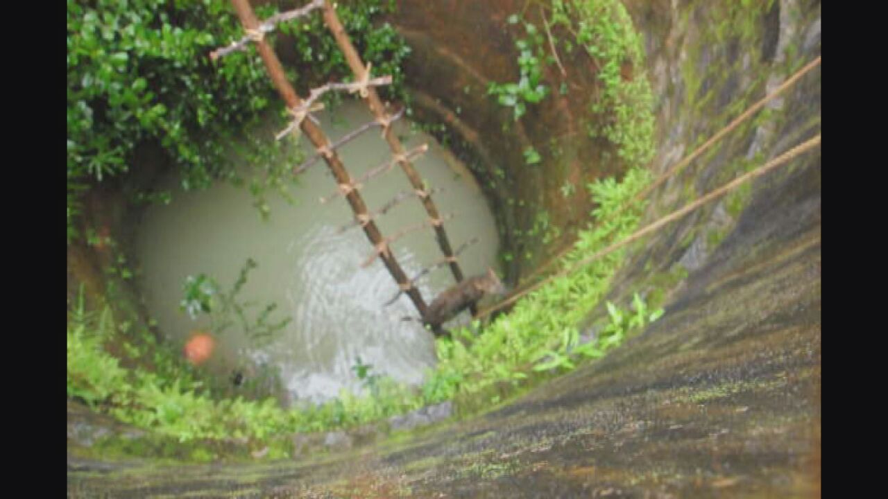 ನಿಟ್ಟೆಯಲ್ಲಿ ಬಾವಿಗೆ ಬಿದ್ದ ಚಿರತೆಯ ರಕ್ಷಣೆ!