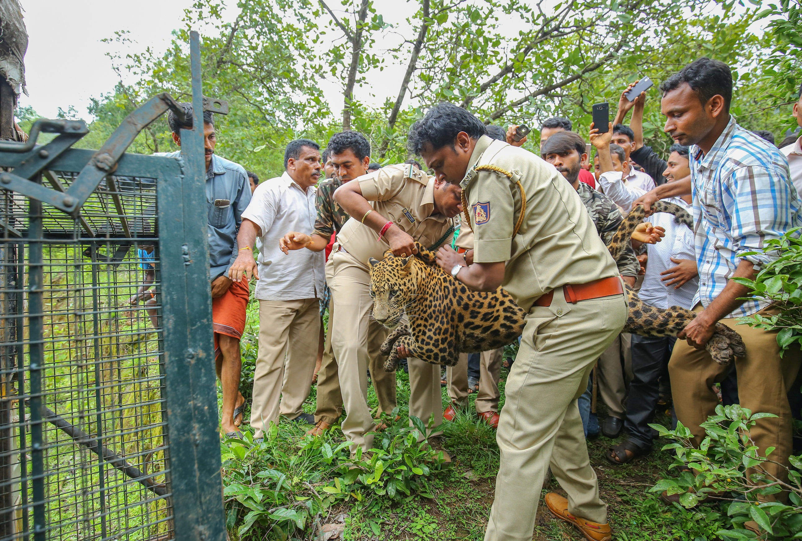 ಪಾಂಡವರಕಲ್ಲಿನಲ್ಲಿ ಸೆರೆಯಾಯಿತು ಚಿರತೆ