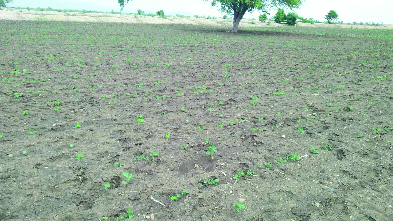 ಗದಗದಲ್ಲಿ ಬರಗಾಲದ ಕರಾಳ ಛಾಯೆ ಗದಗದಲ್ಲಿ ಬರಗಾಲದ ಕರಾಳ ಛಾಯೆ