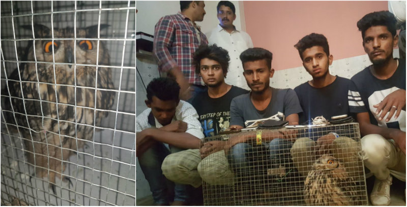 ​ಗೂಬೆ ಬಿಟ್ಟು ಮನೆ ಖಾಲಿ ಮಾಡಿಸಿದ ಟೆಕ್ಕಿ ಬಂಧನ