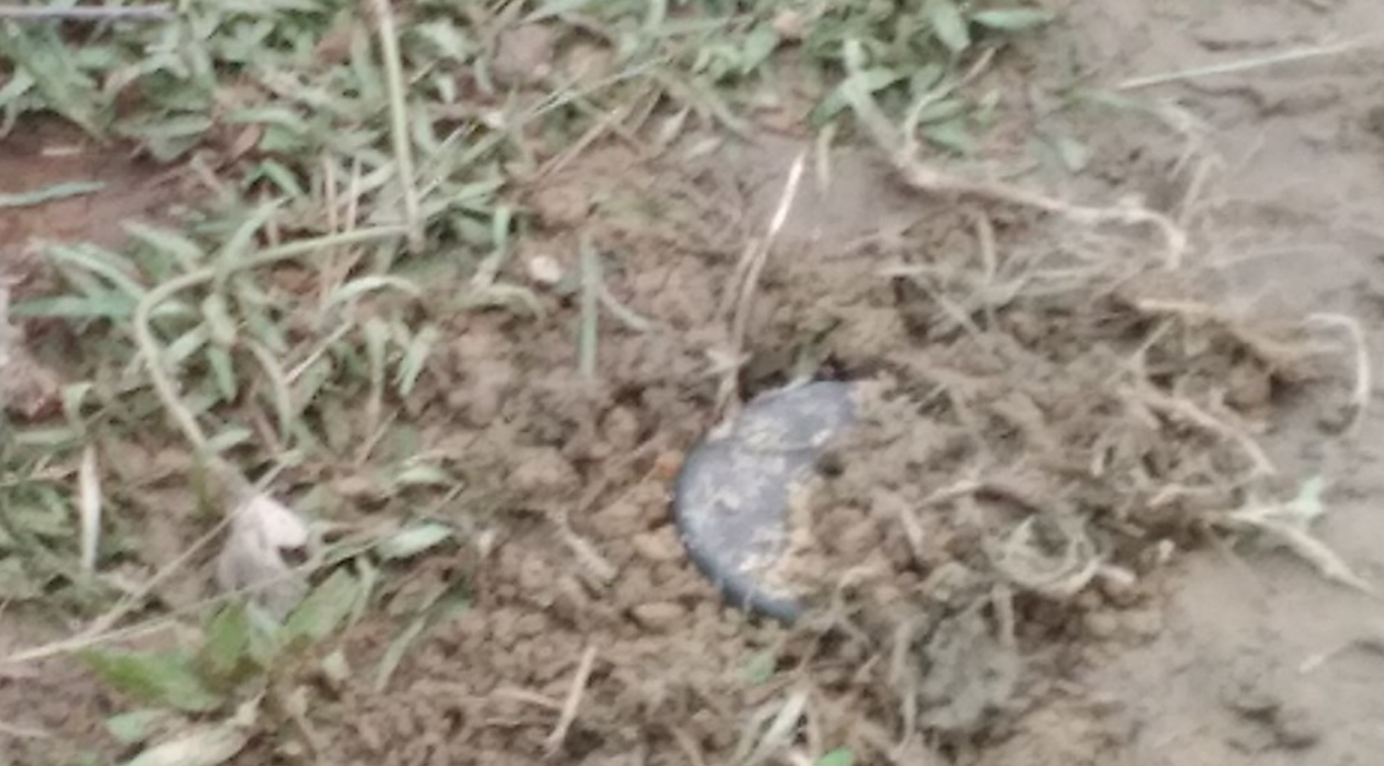 ರೋಹಿಂಗ್ಯಾ ಸಂತ್ರಸ್ತರ ಪಲಾಯನ ದಾರಿಗಳಲ್ಲಿ ನೆಲಬಾಂಬ್ ಹುದುಗಿಸಿರುವ ಮ್ಯಾನ್ಮಾರ್ ಸೇನೆ