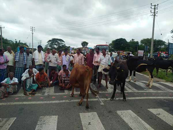 ಪಶು ಆಸ್ಪತ್ರೆಗೆ ವೈದ್ಯರ ನೇಮಿಸುವಂತೆ ಜಾನುವಾರುಗಳೊಂದಿಗೆ ರೈತರ ಧರಣಿ
