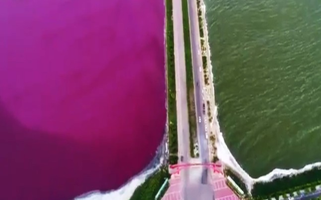 ಗುಲಾಬಿ ಬಣ್ಣಕ್ಕೆ ತಿರುಗಿದ ಉಪ್ಪು ನೀರಿನ ಸರೋವರ: ಕಾರಣವೇನು ಗೊತ್ತೇ?