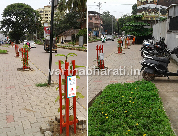 ನಗರ ಹಸಿರೀಕರಣ ಅಭಿಯಾನ