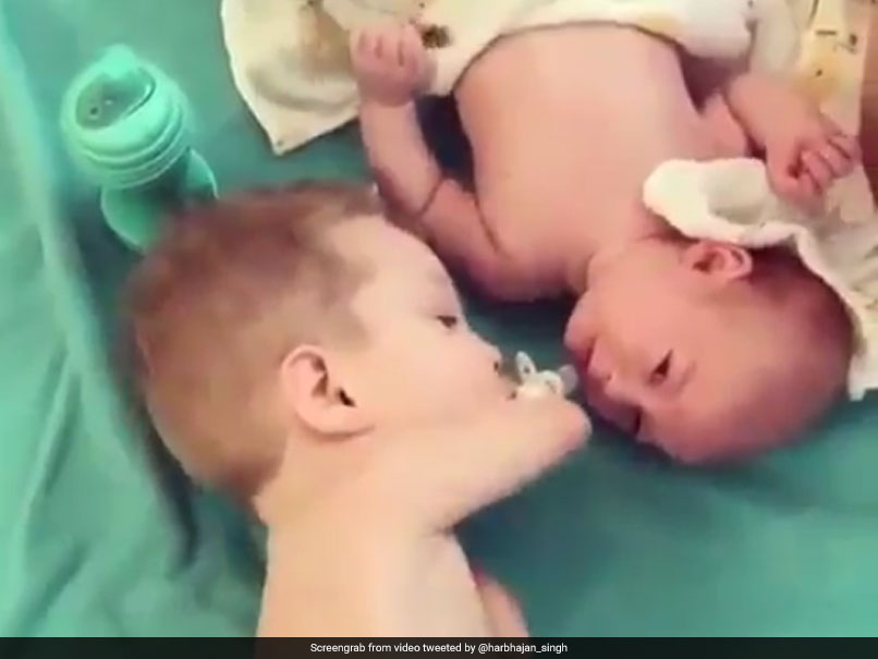 ಟ್ವಿಟ್ಟರಿಗರ ಮನಗೆದ್ದ ಹರ್ಭಜನ್ ಪೋಸ್ಟ್ ಮಾಡಿದ ಭಾವನಾತ್ಮಕ ವಿಡಿಯೋ