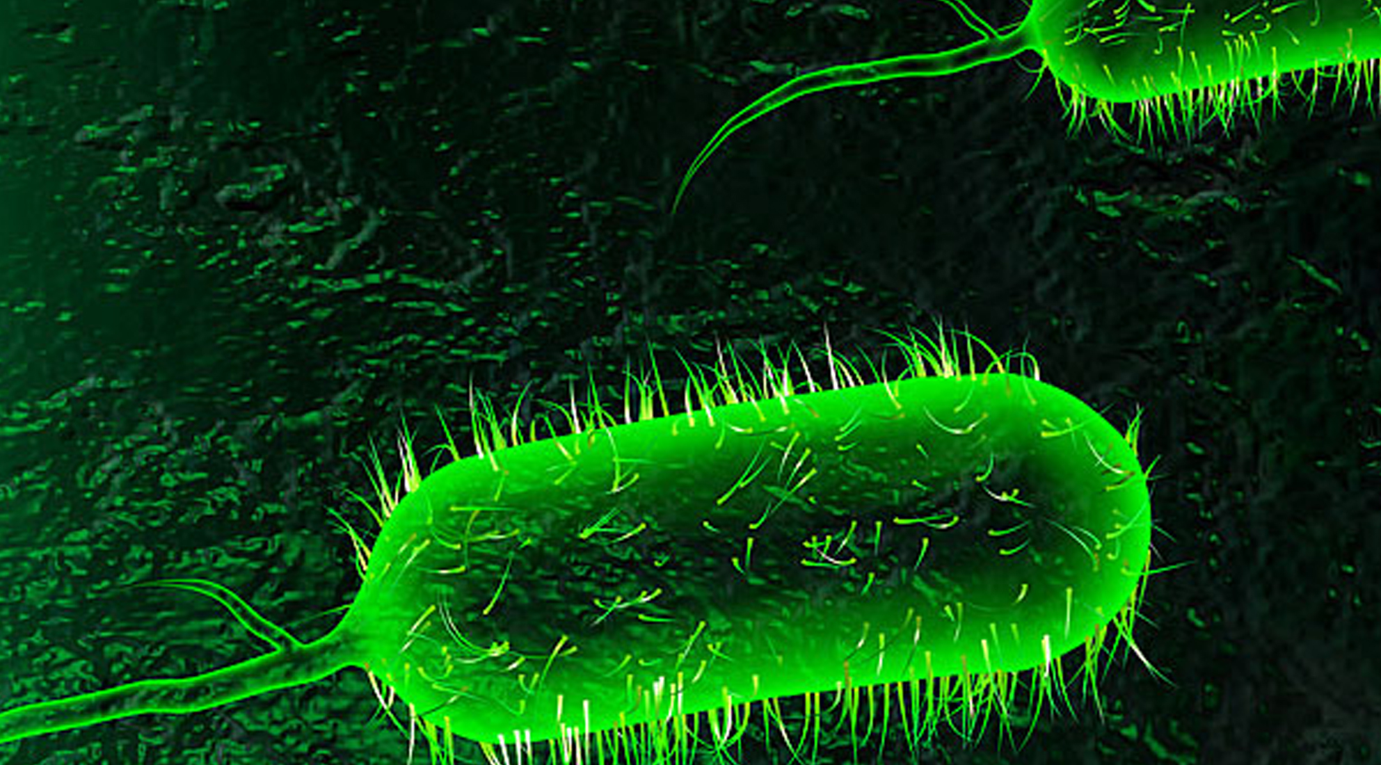 ಯಮನ್: 6 ಲಕ್ಷ ಮಂದಿಗೆ ಕಾಲರಾ ಸೋಂಕು