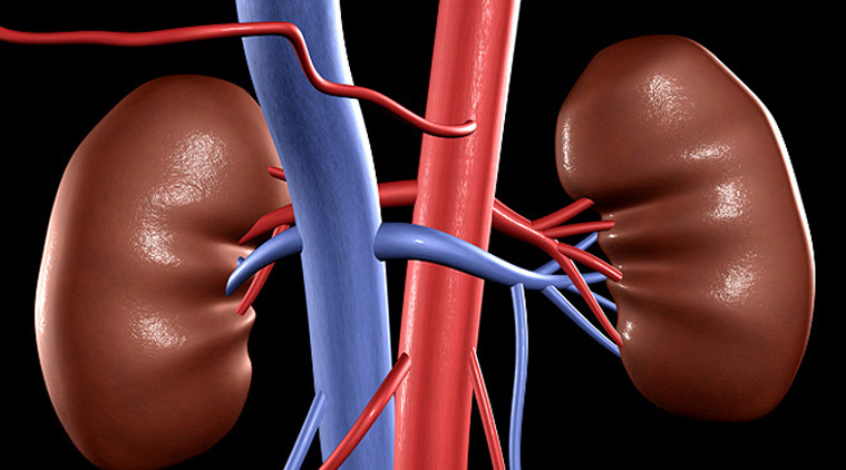 ಅಂಗಾಂಗ ದಾನದ ಮೂಲಕ ಎರಡು ಜೀವಗಳನ್ನುಳಿಸಿದ 14 ತಿಂಗಳ ಮಗು