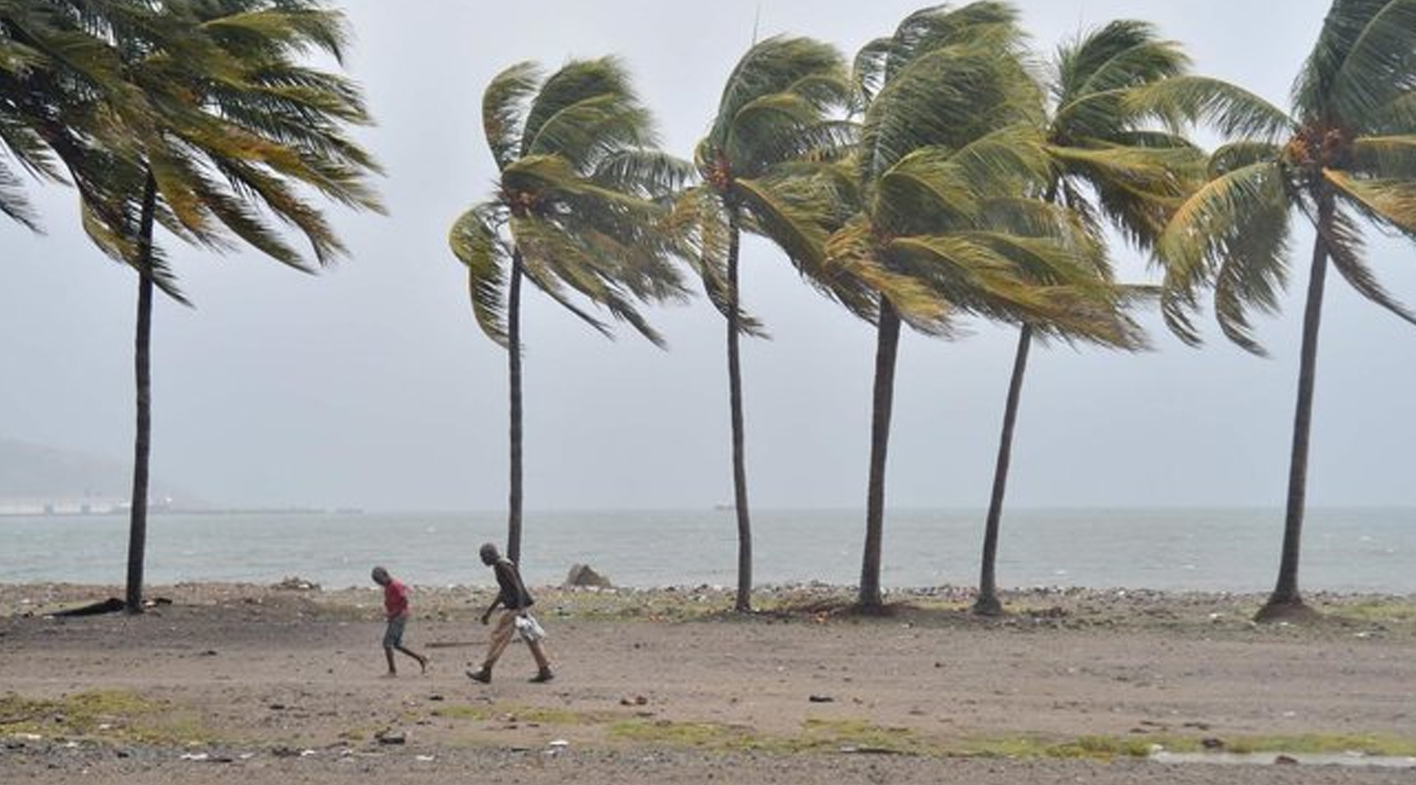 ಮುಂದುವರಿದ ‘ಇರ್ಮಾ’ ದಾಂಧಲೆ: 14 ಸಾವು