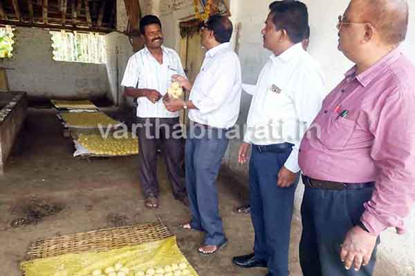 ರಸಗೊಬ್ಬರ, ಕೊಳೆತ ಬೆಲ್ಲ, ಸಕ್ಕರೆ ಬಳಸಿ ಬೆಲ್ಲ ತಯಾರಿ!