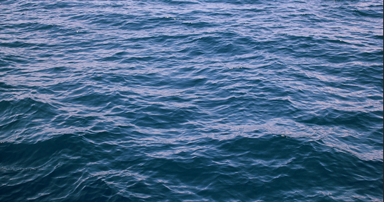 ನಾಪತ್ತೆಯಾಗಿದ್ದ ತಾಯಿ, ಮಗುವಿನ ಮೃತದೇಹ ಕೆರೆಯಲ್ಲಿ ಪತ್ತೆ