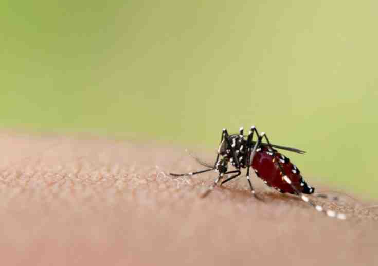 ಸೆಕೆಂಡುಗಳಲ್ಲಿ ಮಲೇರಿಯಾ ಪತ್ತೆಹಚ್ಚಲು ಬಂದಿದೆ ಹೊಸ ಸಾಧನ…