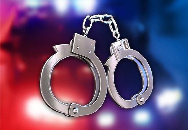 ಪುತ್ತೂರು: ಕಳವು ಪ್ರಕರಣದ ಆರೋಪಿ ಸೆರೆ