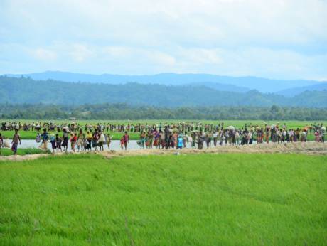 ರೊಹಿಂಗ್ಯಾ ಜಮೀನುಗಳ ಭತ್ತ ಕಟಾವು ಮಾಡಲು ಮ್ಯಾನ್ಮಾರ್ ಸರಕಾರ ನಿರ್ಧಾರ