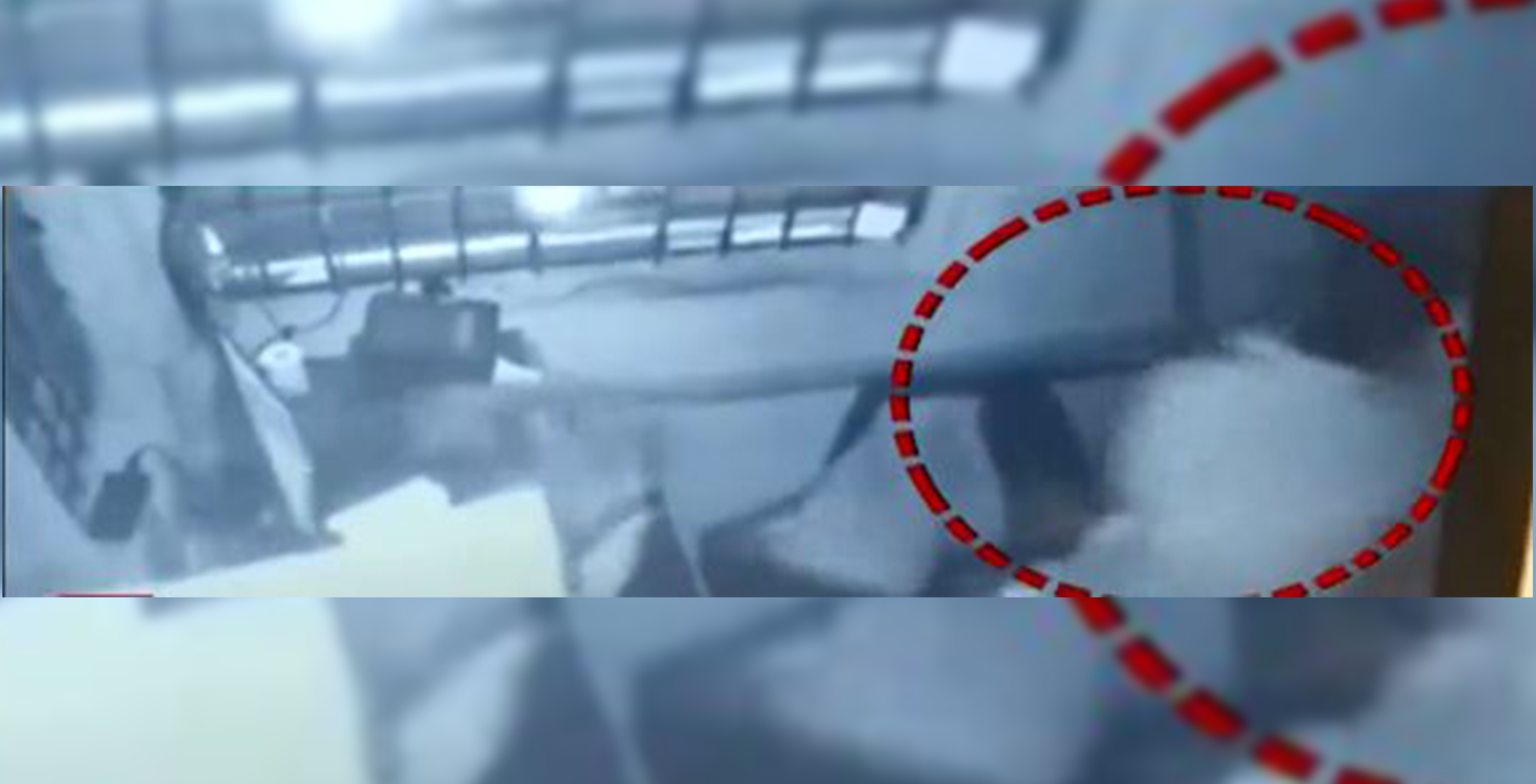 ಬಿಜೆಪಿ ಶಾಸಕಿಯ ಪತಿಯಿಂದ ಟೋಲ್ ಪ್ಲಾಝಾ ಸಿಬ್ಬಂದಿಗೆ ಥಳಿತ