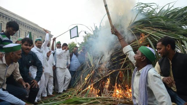 ಉತ್ತರ ಪ್ರದೇಶ ಸರಕಾರದ ವಿರುದ್ಧ ಕಬ್ಬು ಬೆಳೆಗಾರರ ಪ್ರತಿಭಟನೆ