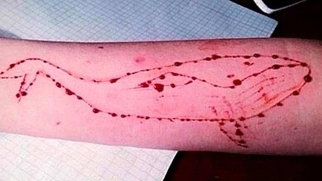 ಬ್ಲೂ ವೇಲ್ ಚಾಲೆಂಜ್ ಆನ್‌ಲೈನ್ ಗೇಮ್: ವಿದ್ಯಾರ್ಥಿಗಳನ್ನು ದೂರವಿಡಲು ಶಿಕ್ಷಣ ಇಲಾಖೆ ಕ್ರಮ