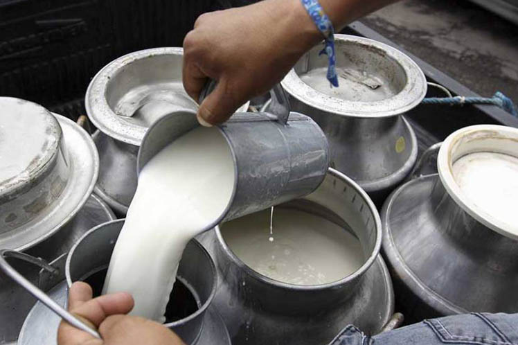 ಮುಷ್ಕರ ನಿರತ ವೈದ್ಯರಿಗೆ ಹಾಲು ಪೂರೈಸದಿರಲು ಹೈನುಗಾರರ ನಿರ್ಧಾರ