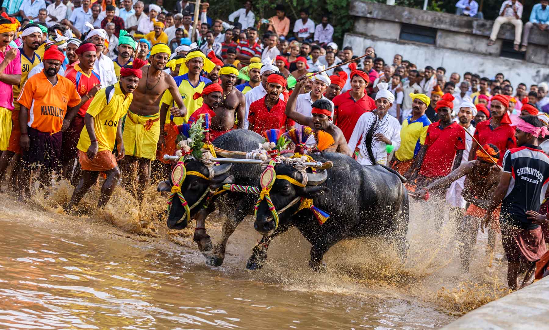 ಮೂಡುಬಿದಿರೆ: 15ನೆ ವರ್ಷದ ಕೋಟಿ-ಚೆನ್ನಯ ಕಂಬಳೋತ್ಸವ ಸಮಾಪನ