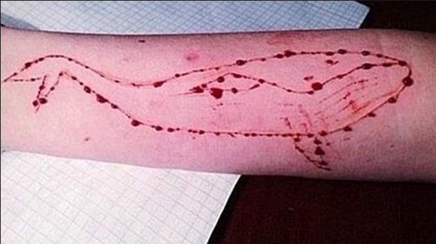 ಬ್ಲೂವೇಲ್‌ ನಿಷೇಧದ ಬಗ್ಗೆ ಸುಪ್ರೀಂ ಕೋರ್ಟ್‌ಗೆ ಕೇಂದ್ರ ಸರಕಾರ ಹೇಳಿದ್ದು ಹೀಗೆ…