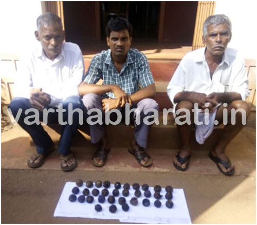 ಶಂಕರನಾರಾಯಣದಲ್ಲಿ ನಾಡ ಬಾಂಬ್ ತಯಾರಿ ಜಾಲ: ಮೂವರ ಸೆರೆ