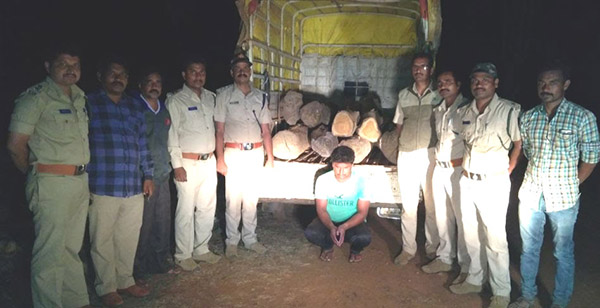 ಅಕ್ರಮ ಮರ ಸಾಗಟ: ಓರ್ವ ಬಂಧನ