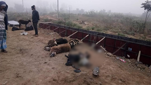 ಕಾರು ಢಿಕ್ಕಿ: 5 ಕುರಿಗಳ ಸಾವು; ಬೈಕ್ ಸಾವಾರನಿಗೆ ಗಾಯ