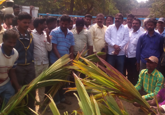 ಅರಣ್ಯ ಭೂಮಿಯಲ್ಲಿ ಅಕ್ರಮ ಕಾಮಗಾರಿ ಆರೋಪ: 9 ಮಂದಿ ಬಂಧನ, ವಾಹನಗಳ ವಶ