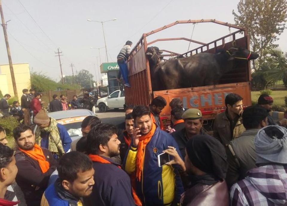 ಜಾನುವಾರು ಸಾಗಾಟದ ವಾಹನ ತಡೆದು ಚಾಲಕರಿಗೆ ಹಲ್ಲೆಗೈದ ಹಿಂದೂ ಯುವವಾಹಿನಿ ಕಾರ್ಯಕರ್ತರು