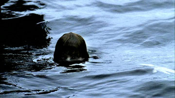 ಸೆಲ್ಫಿ ತೆಗೆಯುತ್ತಿದ್ದ ವೇಳೆ ನೀರಿನ ಟ್ಯಾಂಕ್‌ಗೆ ಬಿದ್ದು ಸಾವು