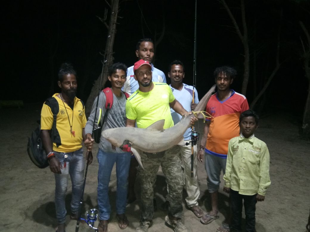 ಪಡುಬಿದ್ರೆ: ಗಾಳಕ್ಕೆ ಬಿತ್ತು ಬರೋಬ್ಬರಿ 25 ಕೆಜಿ ತೂಕದ ಶಾರ್ಕ್‌ ಕೇಟ್‌ವೈಟ್ ಮೀನು