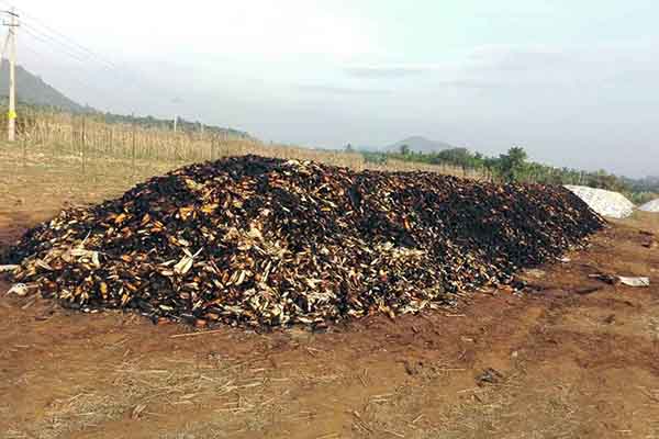 ಶಿವಮೊಗ್ಗ : ರಾಗಿ, ಮೆಕ್ಕೆಜೋಳ ರಾಶಿಗೆ ಬೆಂಕಿ ಹಚ್ಚಿದ ಕಿಡಿಗೇಡಿಗಳು