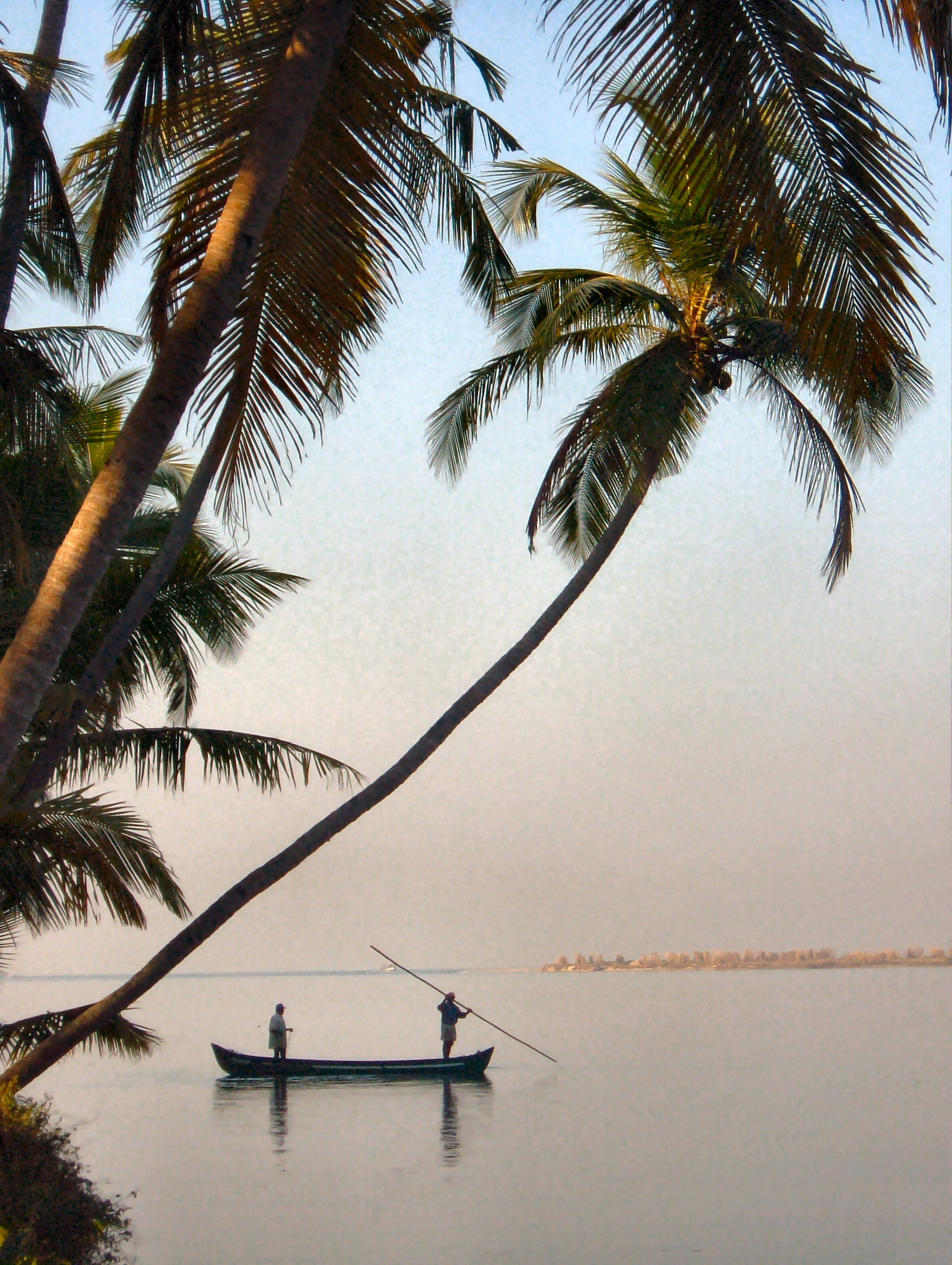 ಕಡಲತಡಿಯೇಕೆ ಕಳಂಕಿತಗೊಂಡಿತು?