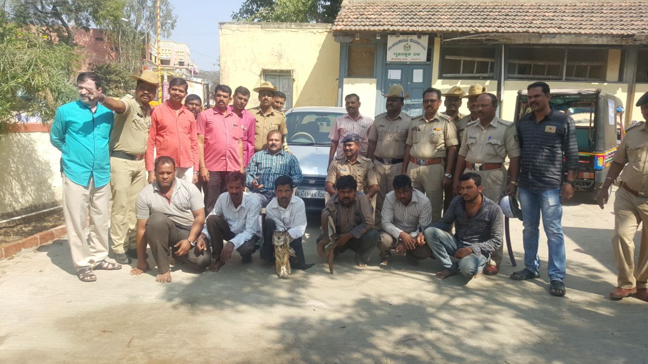 ಹರಪನಹಳ್ಳಿ: ವನ್ಯಜೀವಿಗಳ ಅಕ್ರಮ ಸಾಗಾಟ; 6 ಜನರ ಬಂಧನ