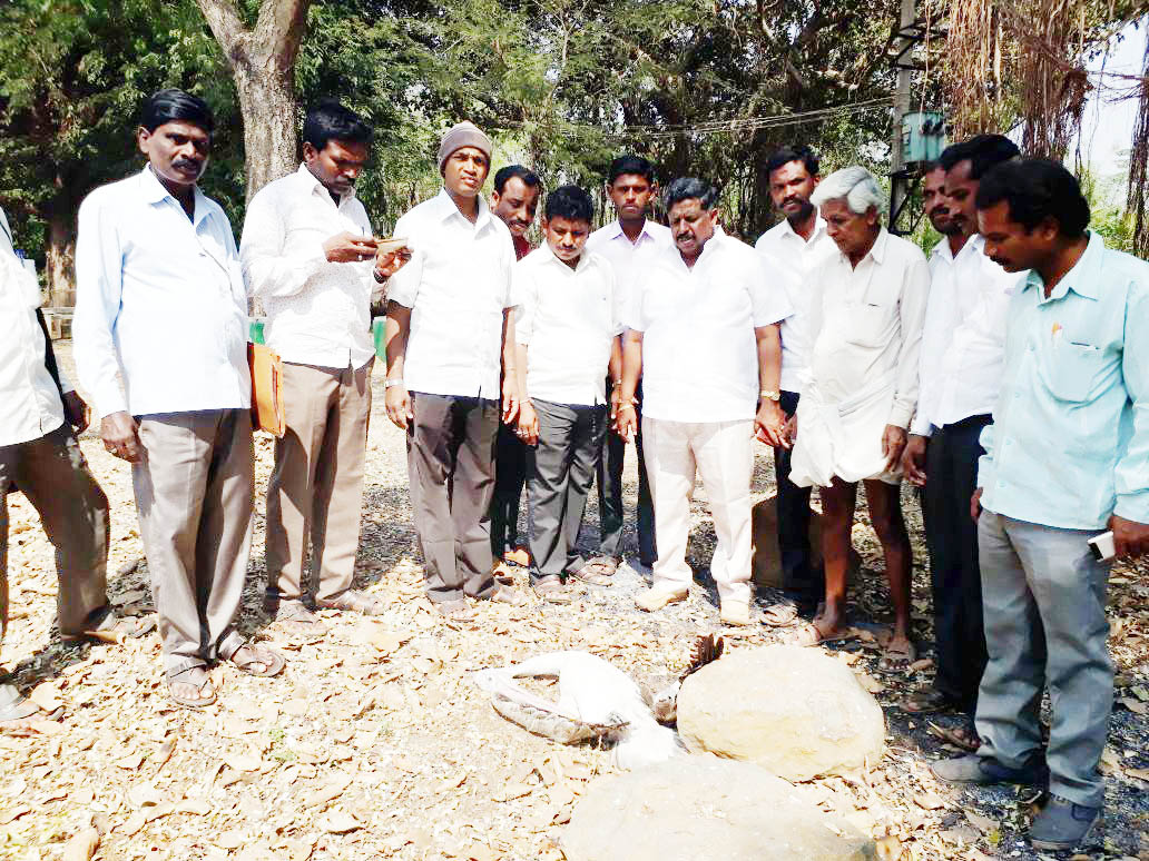 ಕೊಕ್ಕರೆ ಬೆಳ್ಳೂರು ಪಕ್ಷಿಧಾಮ ವ್ಯಾಪ್ತಿ ಮೀನುಗಾರಿಕೆ ನಿಷೇಧಿಸಿ: ಎನ್.ನಂದಕುಮಾರ್