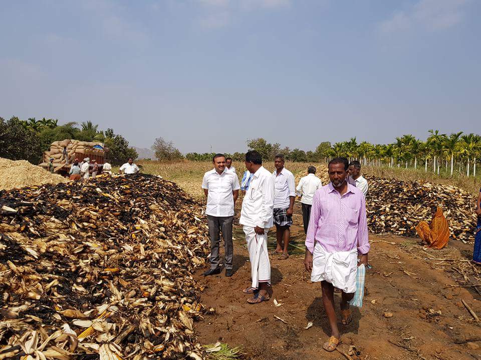 ಲಕ್ಷಾಂತರ ರೂ. ಮೌಲ್ಯದ ಮೆಕ್ಕೆಜೋಳ ಬೆಂಕಿಗಾಹುತಿ: ಸೂಕ್ತ ಪರಿಹಾರಕ್ಕೆ ಒತ್ತಾಯ
