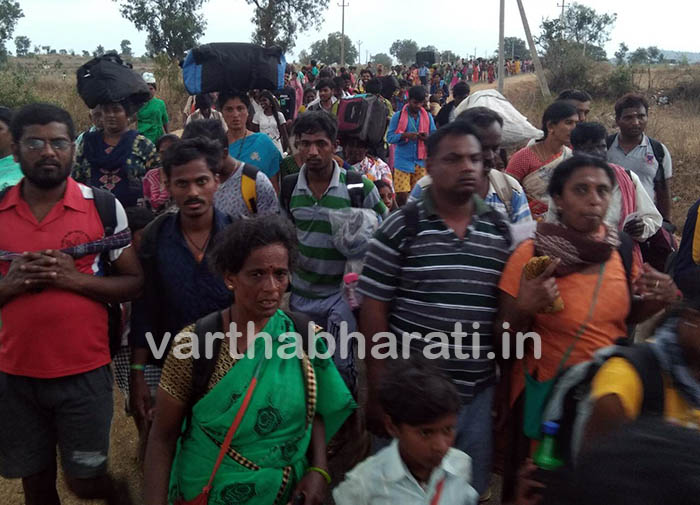 ಮಹಾಶಿವರಾತ್ರಿ ; ಮಲೆಮಹದೇಶ್ವರ ಬೆಟ್ಟಕ್ಕೆ ಹರಿದು ಬರುತ್ತಿರುವ ಜನಸಾಗರ