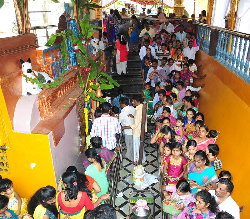 ದಾವಣಗೆರೆ: ಸಂಭ್ರಮದ ಮಹಾಶಿವರಾತ್ರಿ ಆಚರಣೆ