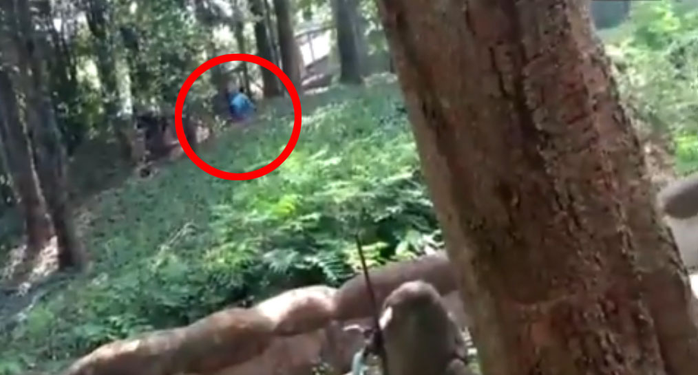 ಕೇರಳ: ಮೃಗಾಲಯದಲ್ಲಿ ಸಿಂಹದ ಆವರಣದೊಳಕ್ಕೆ ನುಗ್ಗಿದ ವ್ಯಕ್ತಿ!