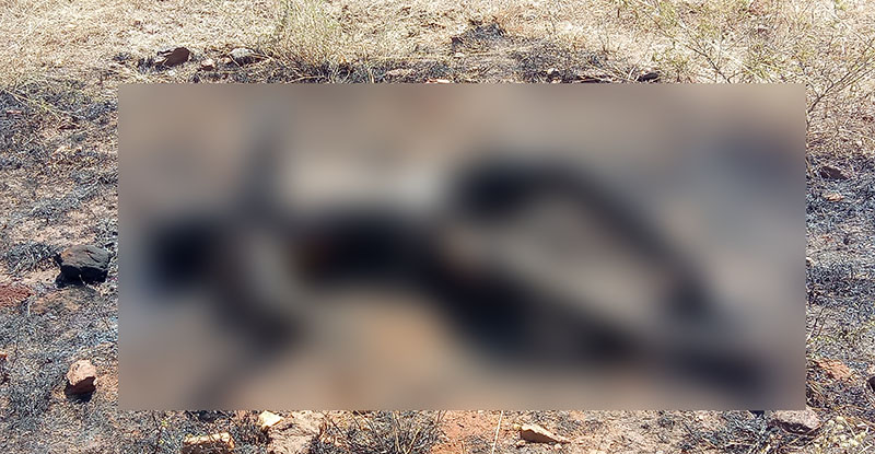 ಗುಂಡ್ಲುಪೇಟೆ: ಸುಟ್ಟು ಕರಕಲಾದ ಸ್ಥಿತಿಯಲ್ಲಿ ವ್ಯಕ್ತಿಯ ಶವ ಪತ್ತೆ; ಕೊಲೆ ಶಂಕೆ