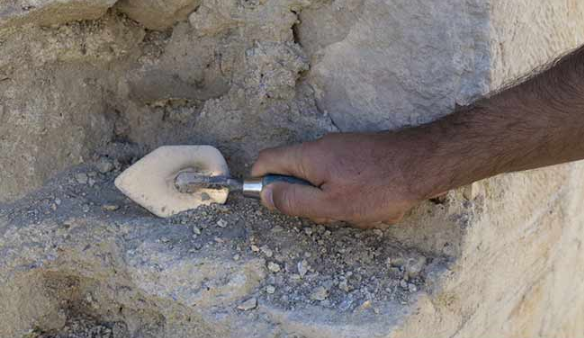 ಹರ್ಯಾಣ: 5,000 ವರ್ಷ ಹಳೆಯ ಪೂರ್ವಹರಪ್ಪನ್ ಕಾಲದ ಪ್ರದೇಶದಲ್ಲಿ ಉತ್ಖನನ ಆರಂಭ