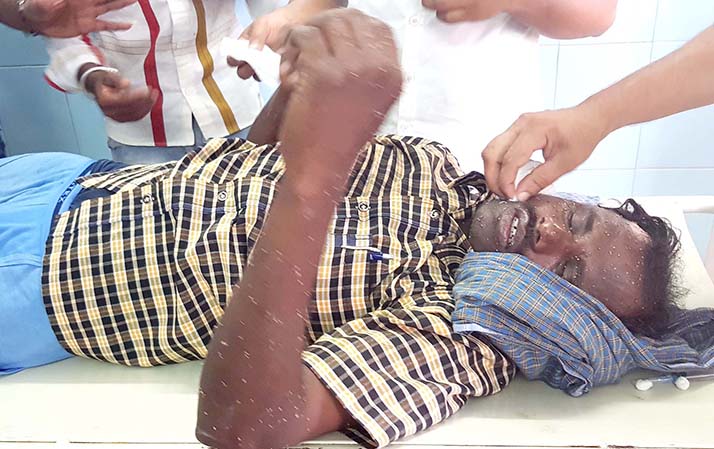 ಮಂಡ್ಯ: ಹೆಜ್ಜೇನು ದಾಳಿ; 15 ಮಂದಿಗೆ ತೀವ್ರ ಗಾಯ