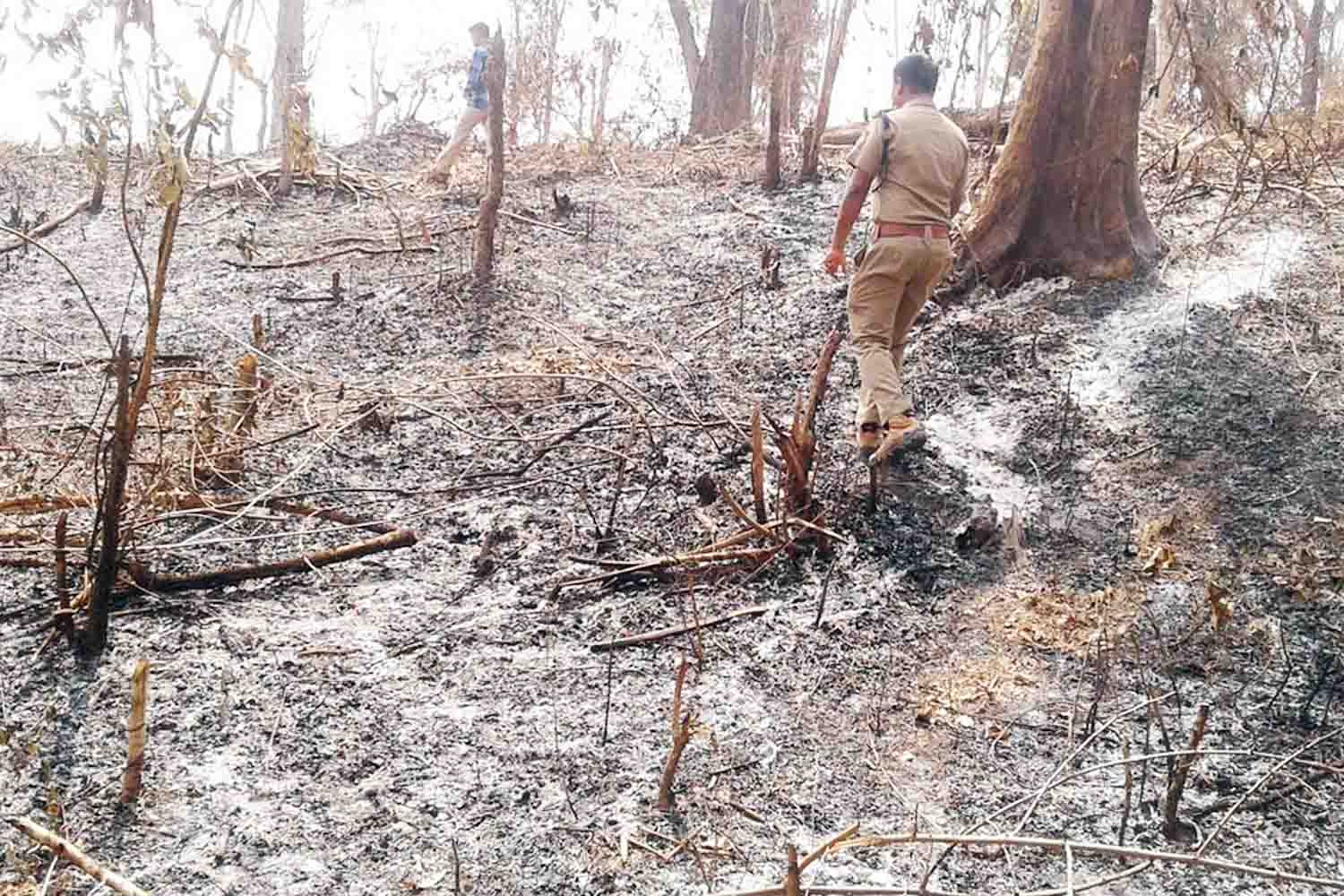 ಶಿವಮೊಗ್ಗ: ಭೂಮಿ ಅತಿಕ್ರಮಣಕ್ಕಾಗಿ ಅರಣ್ಯಕ್ಕೆ ಬೆಂಕಿ