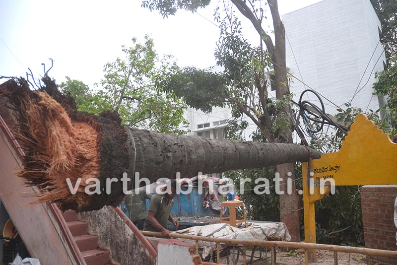 ಬೆಂಗಳೂರು: ಧಾರಾಕಾರ ಮಳೆಗೆ ಧರೆಗುರುಳಿದ ಮರಗಳು