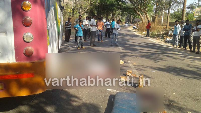 ತುಮಕೂರು: ಬಸ್- ಆಟೋ ಮುಖಾಮುಖಿ ಢಿಕ್ಕಿ; ಮೂವರು ಮೃತ್ಯು