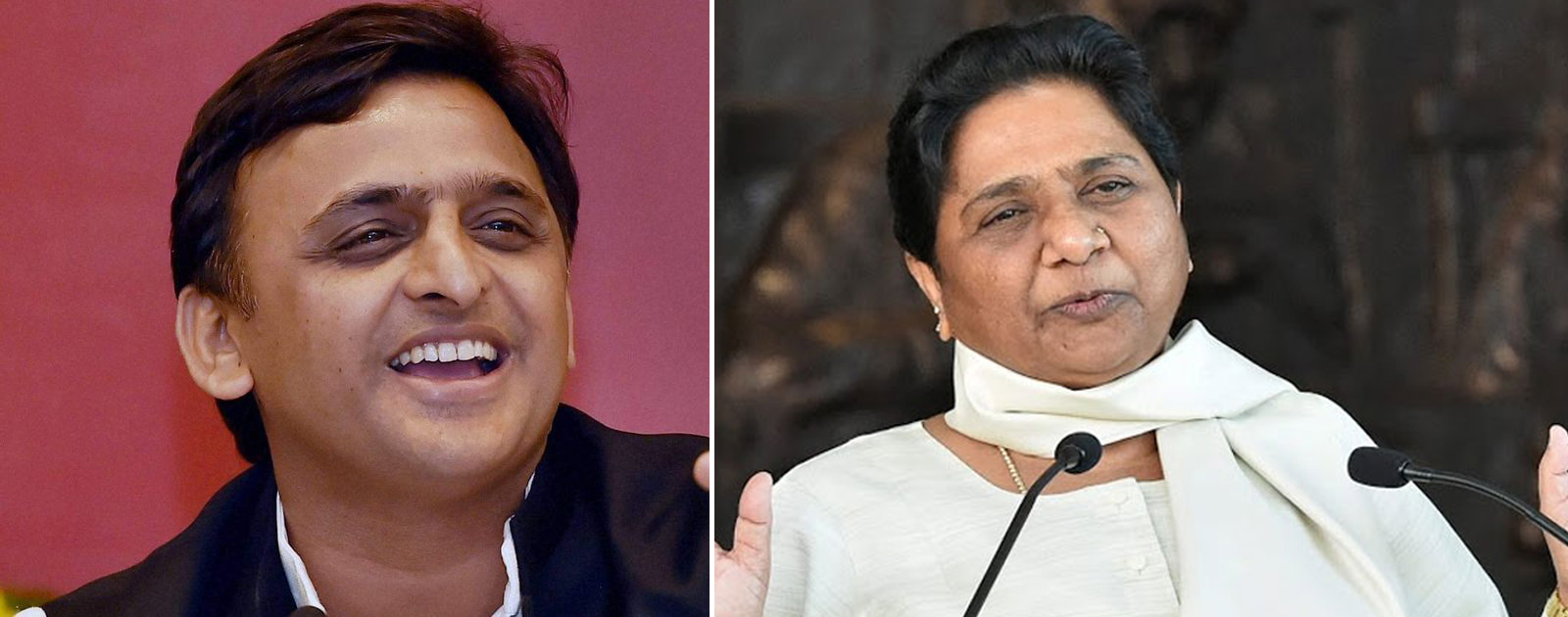 ಎಸ್ ಪಿಗೆ ಆನೆಬಲ: ಅಖಿಲೇಶ್ ಪಕ್ಷದ ಅಭ್ಯರ್ಥಿಗಳಿಗೆ ಬೆಂಬಲ ಘೋಷಿಸಿದ ಬಿಎಸ್ ಪಿ