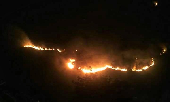 ಚಿಕ್ಕಮಗಳೂರು: ಬೆಂಕಿಗಾಹುತಿಯಾಗುತ್ತಿರುವ ಅರಣ್ಯ ಸಂಪತ್ತು; ಅರಣ್ಯ ಇಲಾಖೆ ವಿರುದ್ಧ ಆಕ್ರೋಶ