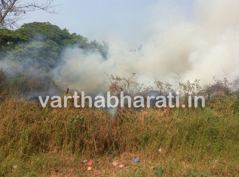 ಉದ್ಯಾವರ: ವಿದ್ಯುತ್ ಶಾರ್ಟ್ ಸರ್ಕಿಟ್ ನಿಂದ ಗದ್ದೆಗೆ ಬೆಂಕಿ