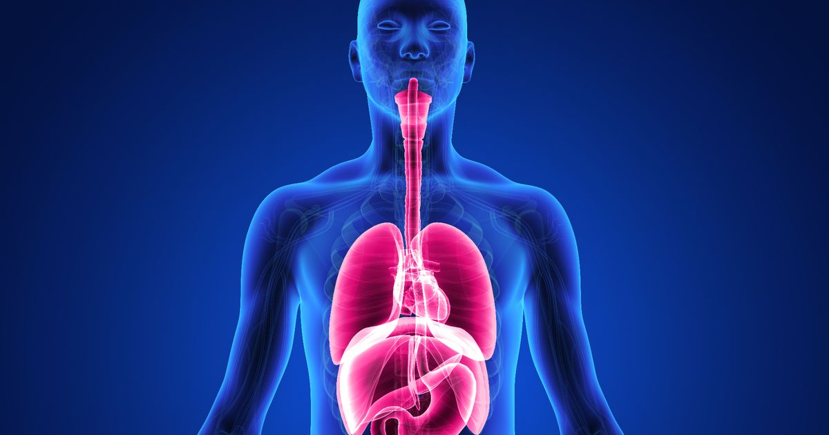 ನಮ್ಮ ಶರೀರದಲ್ಲಿಯ ಪೊಟ್ಯಾಷಿಯಂ ಮಟ್ಟವನ್ನು ಹೆಚ್ಚಿಸಿಕೊಳ್ಳುವುದು ಹೇಗೆ?